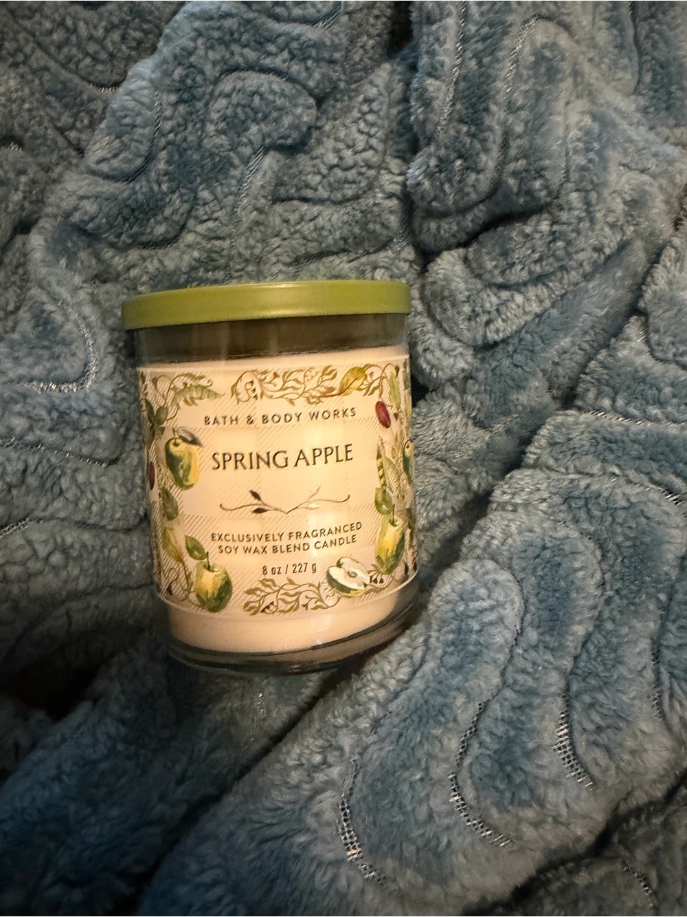 Bath & Body Works Spring Apple Candle - Light Green